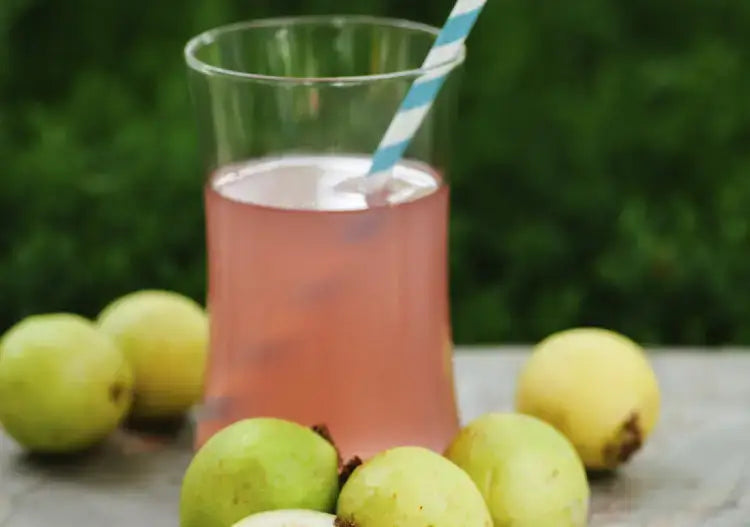 Pink Guava Fizz